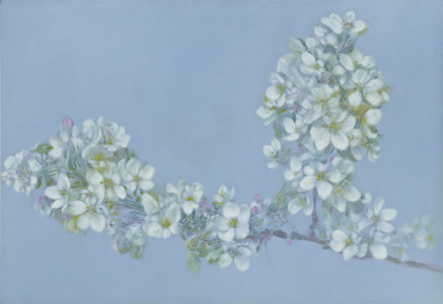 in bloom (white)